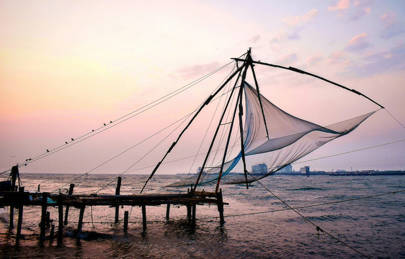 A Slow Week in Kerala: Backwaters, Tea Hills and the Coast